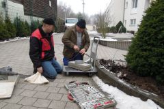 2013-02-16_09-43-14